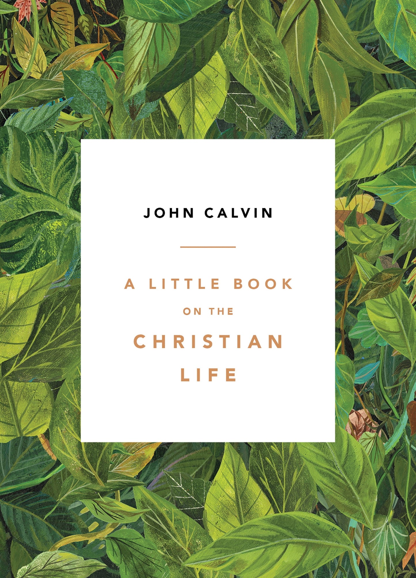 A Little Book on the Christian Life, Leaves (Paperback)