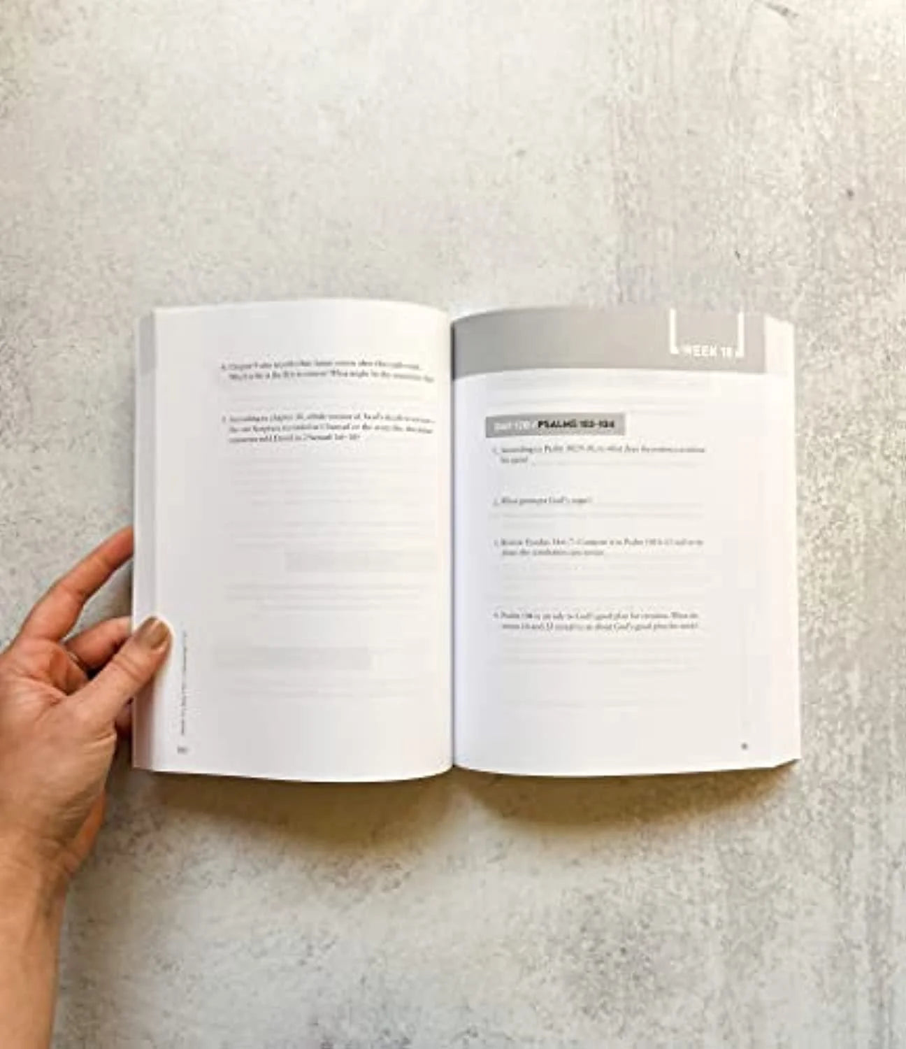 The Bible Recap Study Guide: Daily Questions to Deepen Your Understanding of the Entire Bible (Spiral Bound)