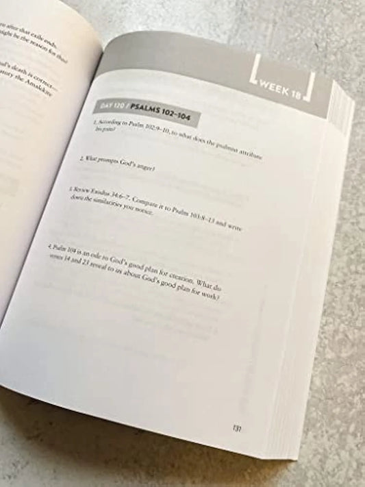 The Bible Recap Study Guide: Daily Questions to Deepen Your Understanding of the Entire Bible (Spiral Bound)