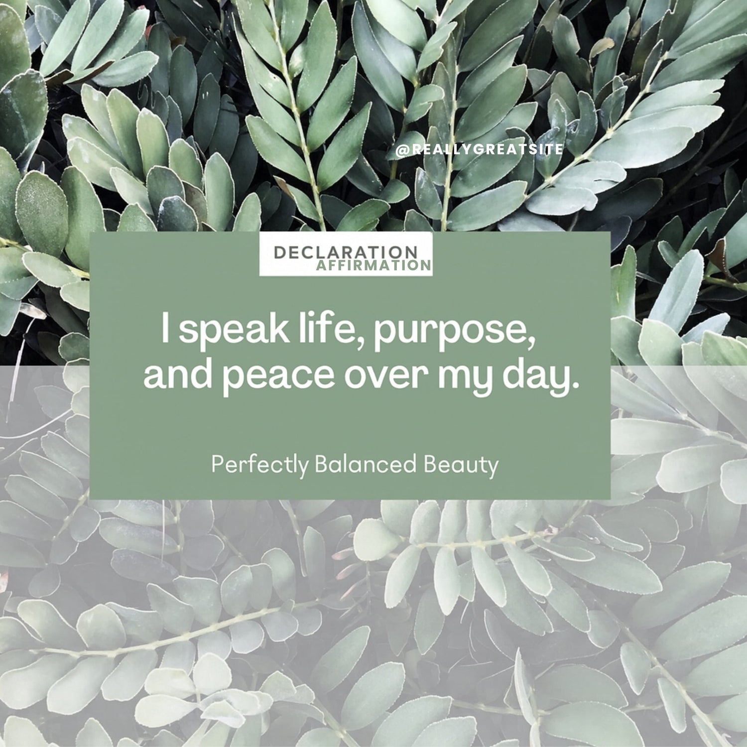Green botanical affirmation graphic with soft leaves in the background and a centered sage-green overlay displaying the text “Everything I do makes a difference