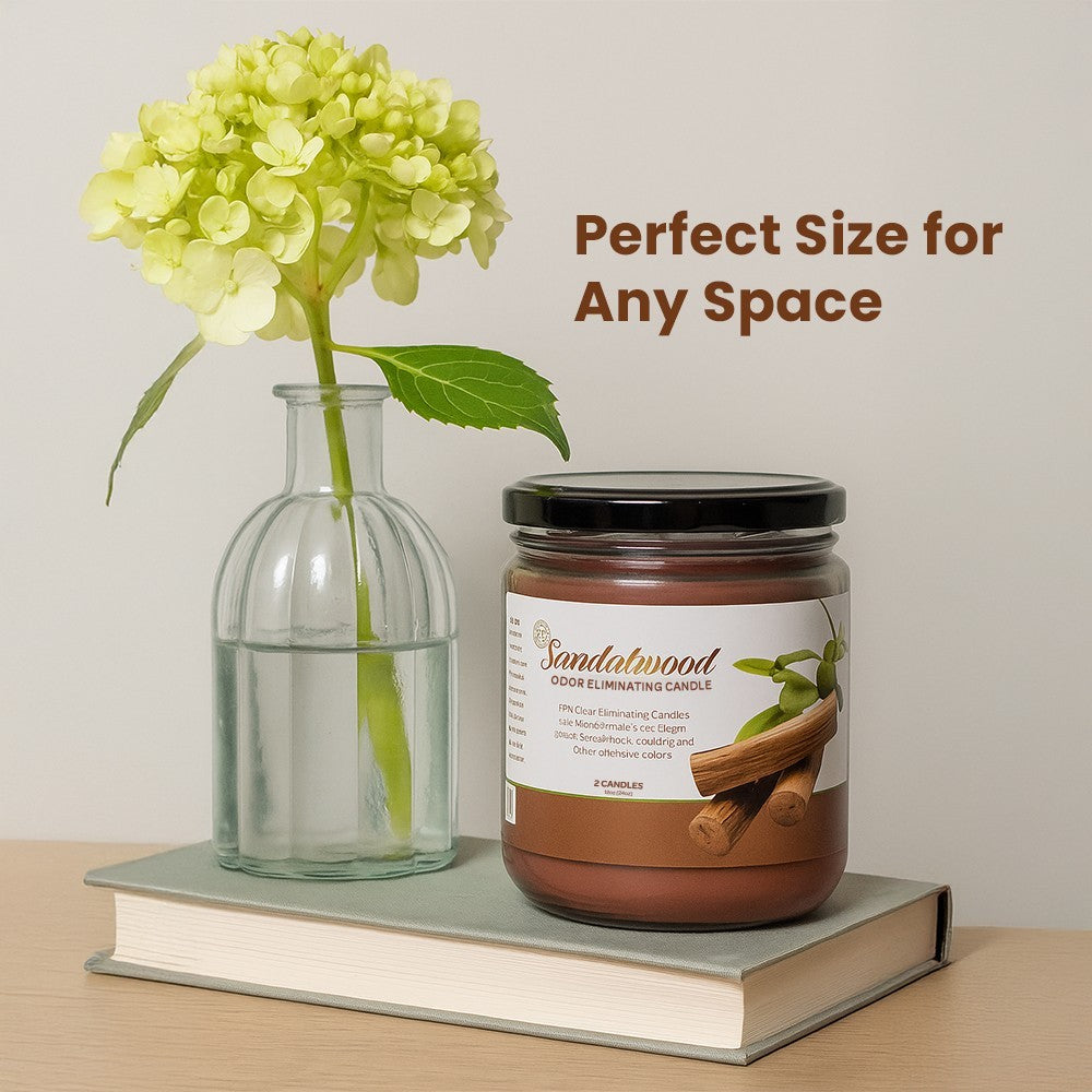 FPN Odor Eliminating Candles Sandalwood Scented Soy Wax Candle Set 12Oz - 2 CT