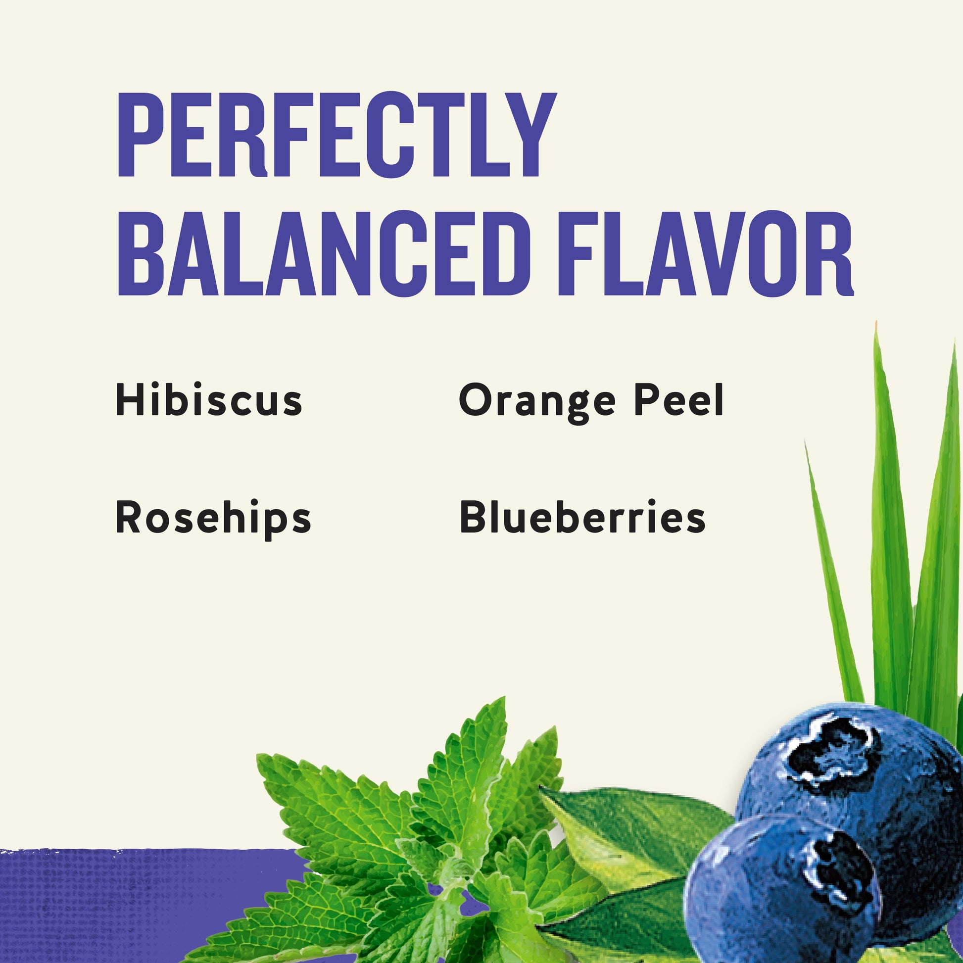 True Blueberry Caffeine-Free Herbal Tea Bags (20 Count)