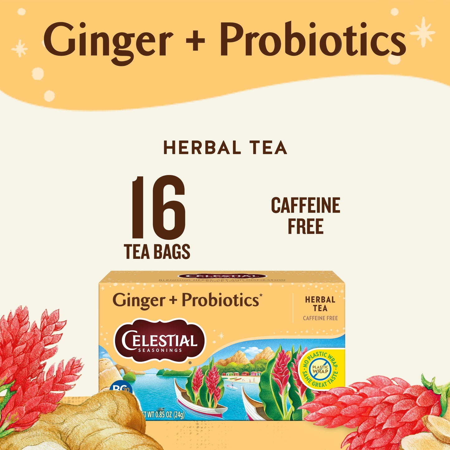 Ginger Probiotics Caffeine-Free Herbal Tea Bags (16 Count)
