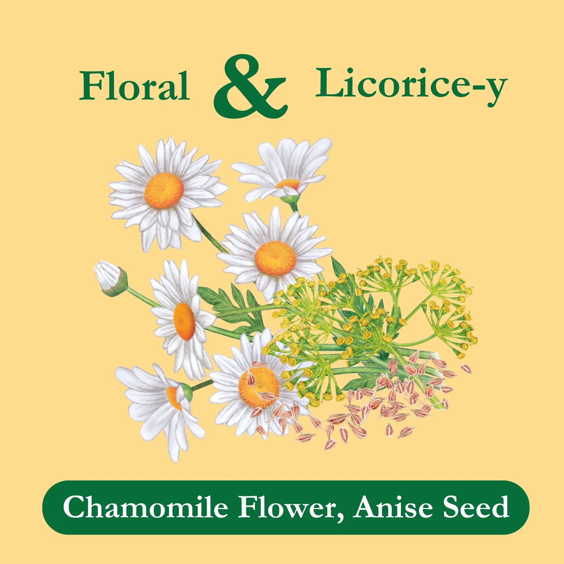 (2 Pack)  Chamomile Tea with Anise, Herbal Tea, Caffeine-Free Tea, Herbal Tea Bags, 24 Count, Pack of 1