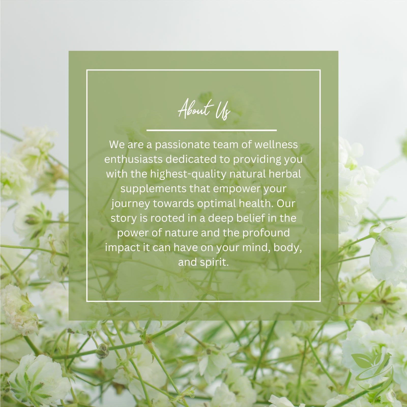 Tum Tum Tea (32 Servings) Loose Herbal Tea Soothing Warmth