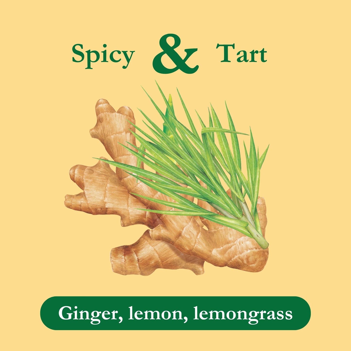 (2 Pack)  Lemon Ginger Tea, Herbal Tea, Caffeine-Free Tea, Herbal Tea Bags, 24 Count, Pack of 1