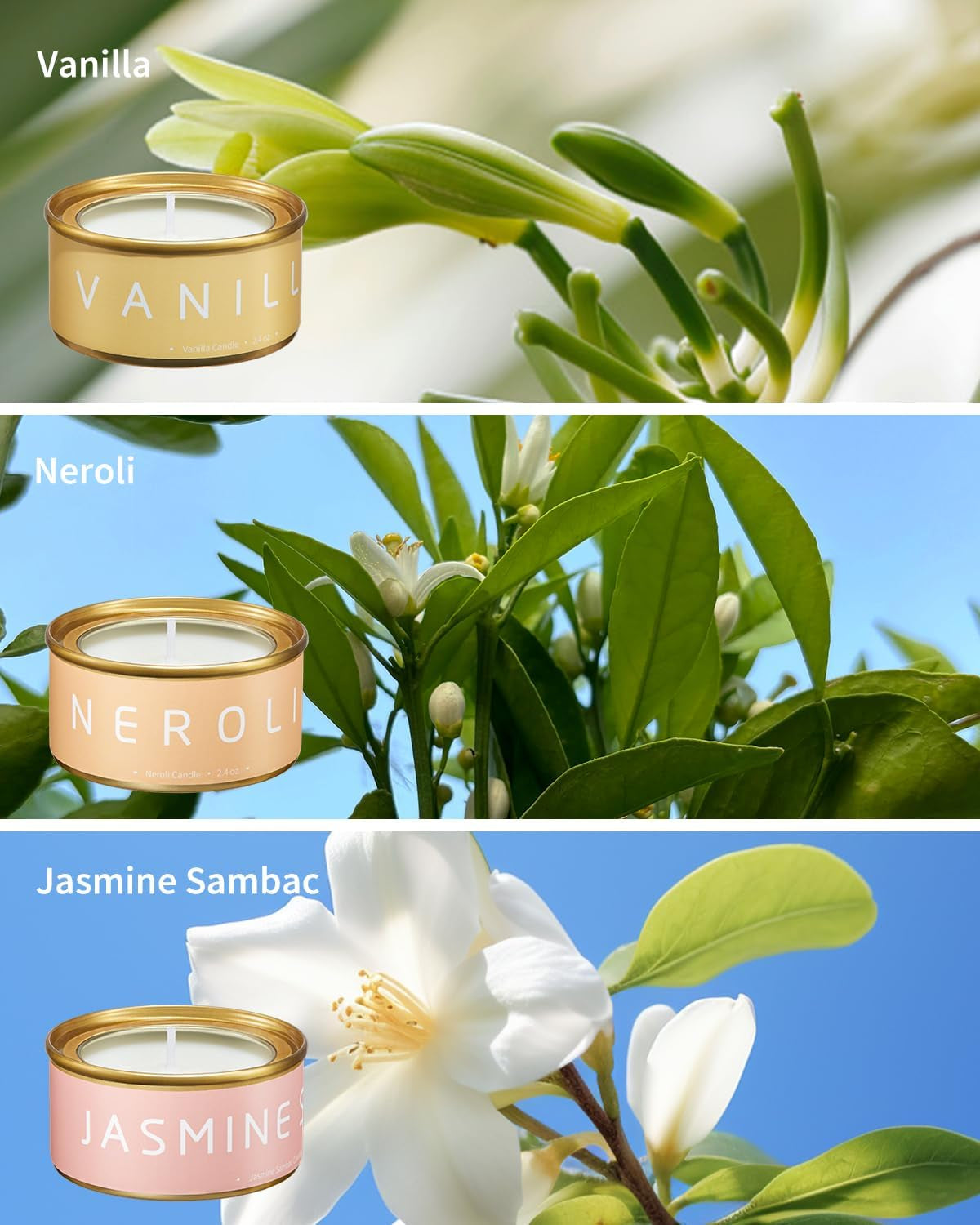 VTS Candles for Home Scented, 6 Pack Aromatherapy Candles (Lavender, Vanilla, English Pear & Freesia, Neroil, Clary Sage, Jasmine Sambac), Candles Gift Set for Stocking Stuffers, Christmas, Birthday