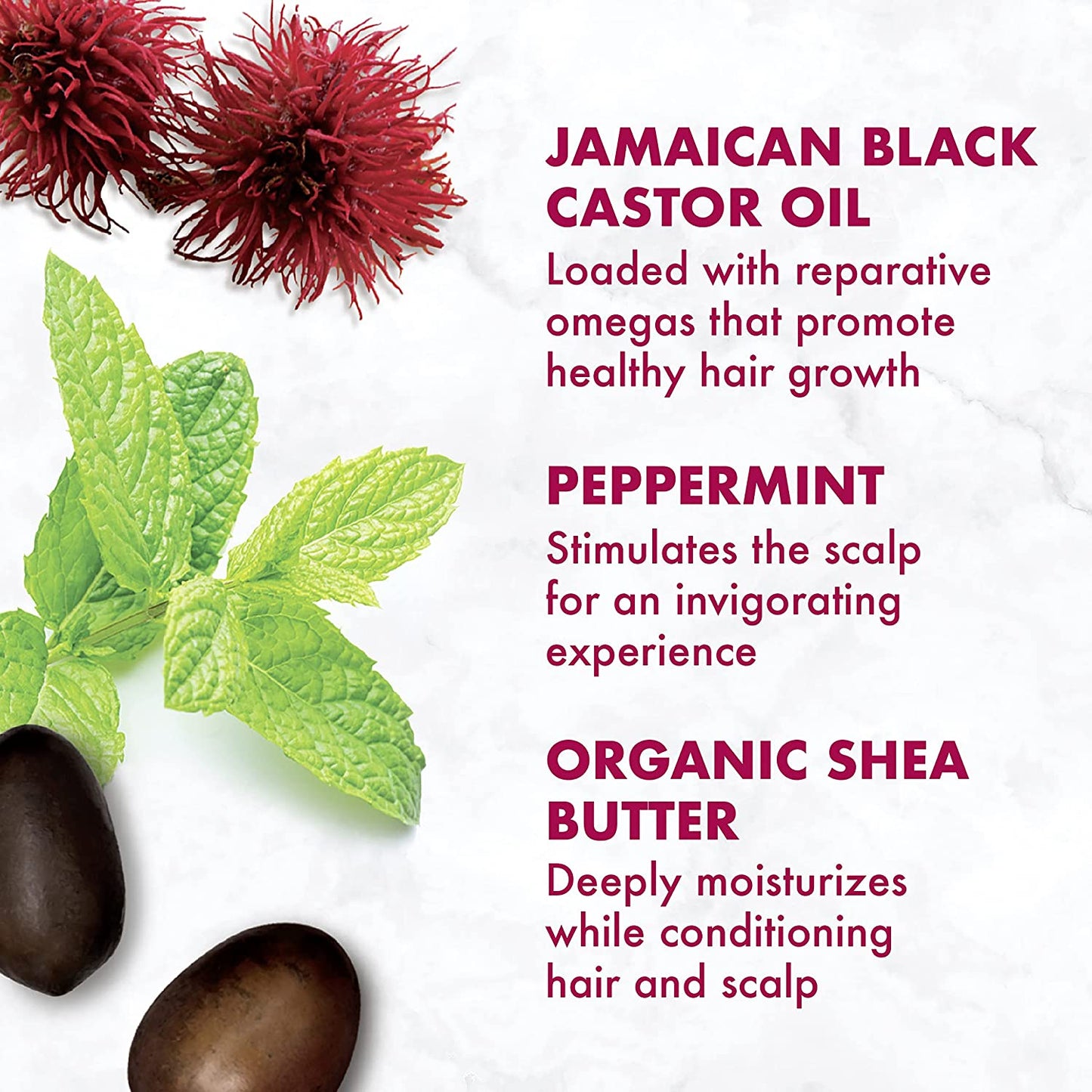 Strengthen Jamaican Black Castor Oil Set Shampoo Conditioner