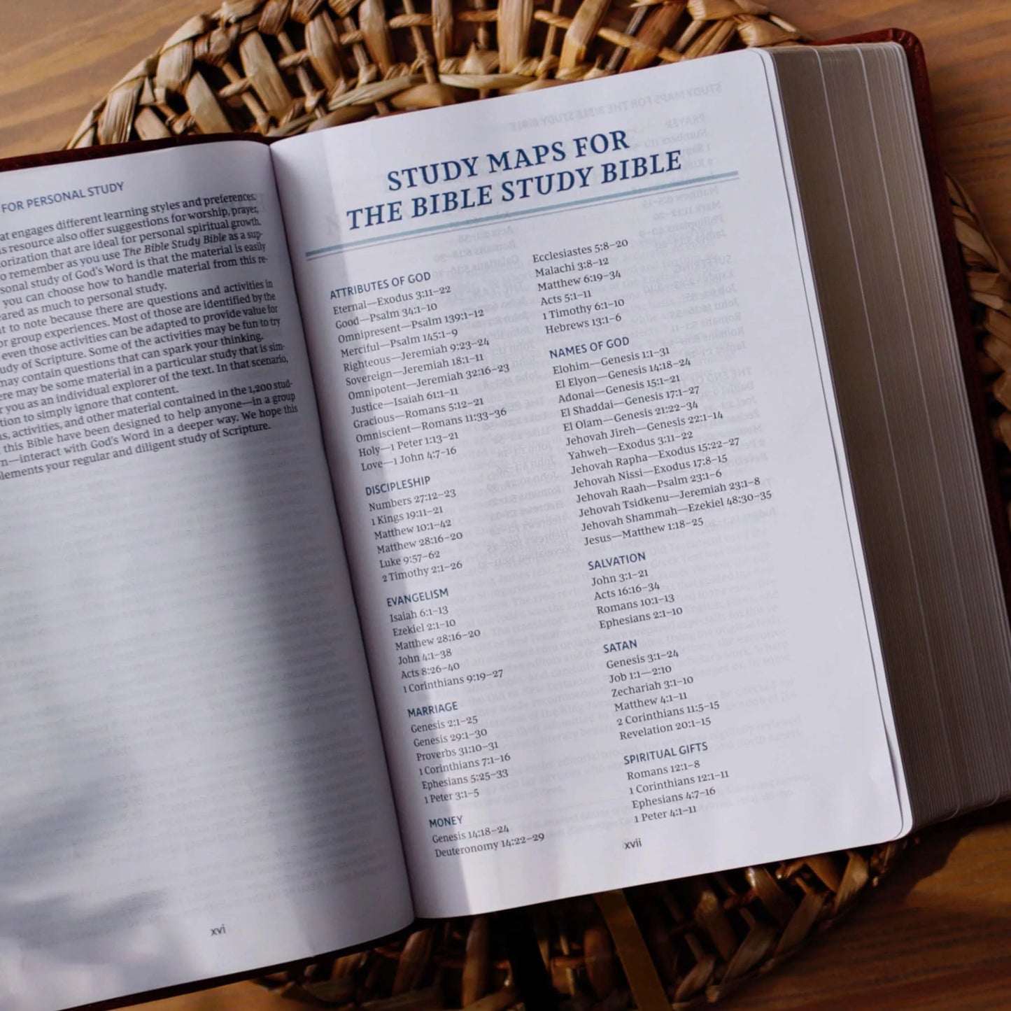 Nkjv, the Bible Study Bible, Leathersoft, Brown, Comfort Print: a Study Guide for Every Chapter of the Bible, (Hardcover)