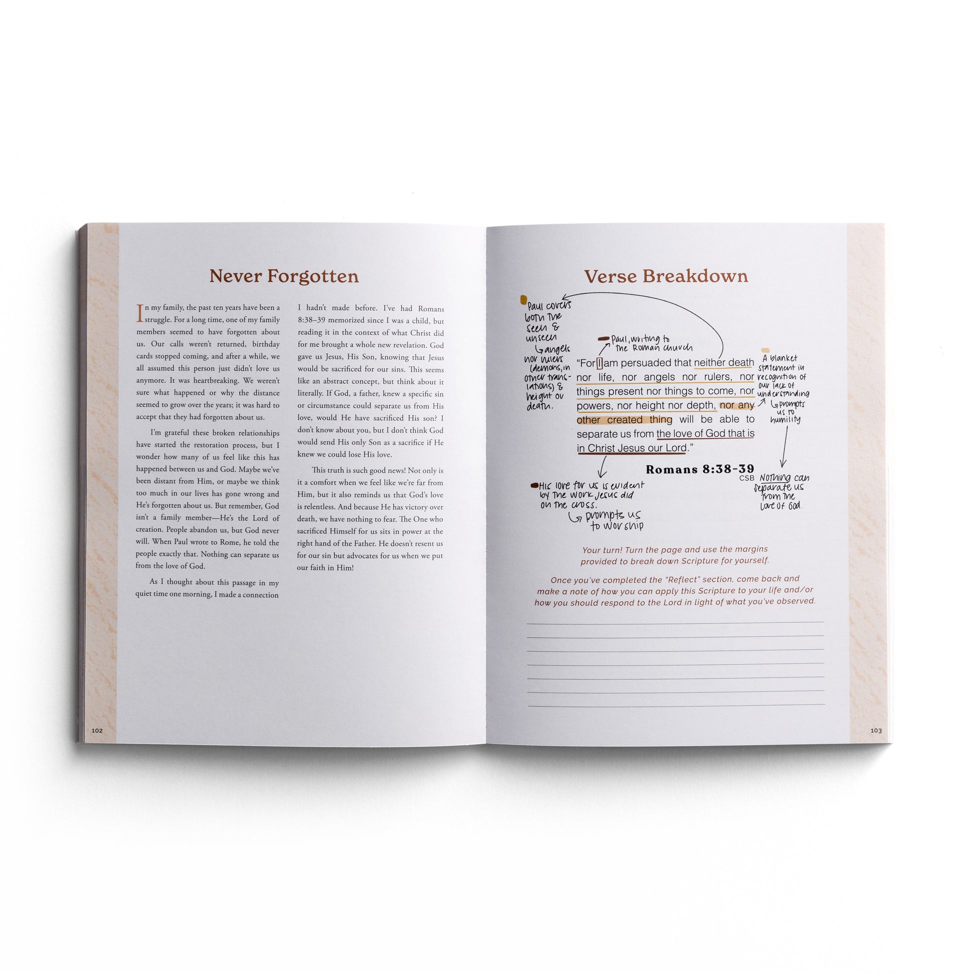 - Whatever Is True and Lovely: Devotional Journal (Paperback)