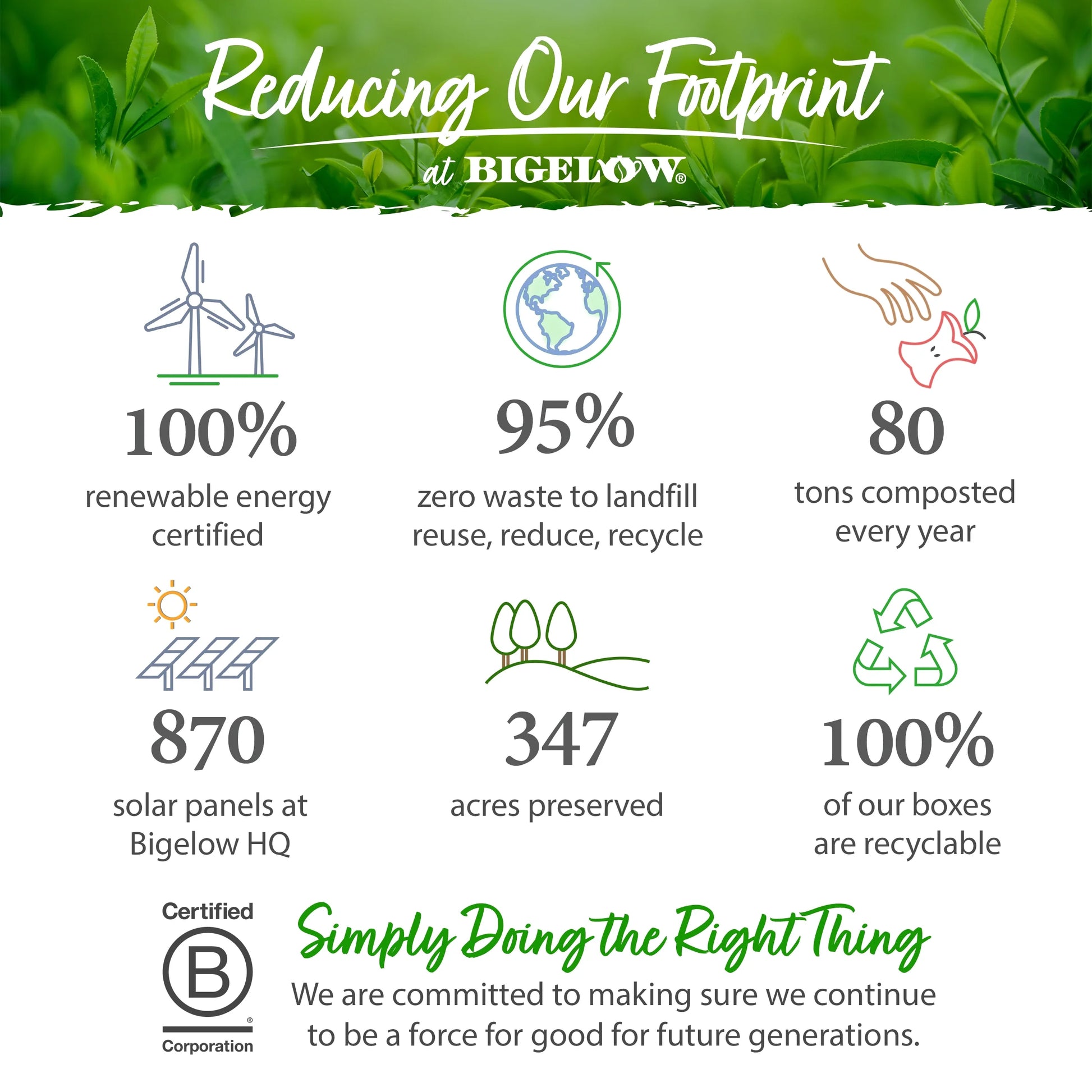 (4 Pack)  Lavender Chamomile plus Probiotics, Caffeine Free, Herbal Tea Bags, 18 Count