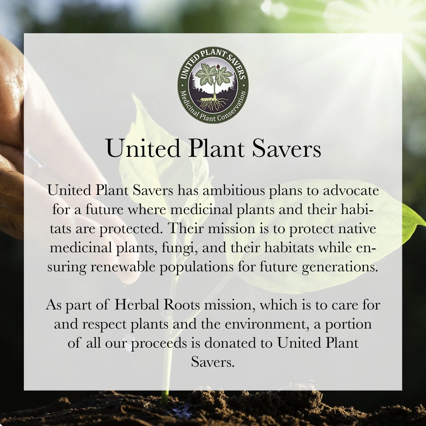 Saw Palmetto, 1,000Mg, Supports Prostate and Urinary Health