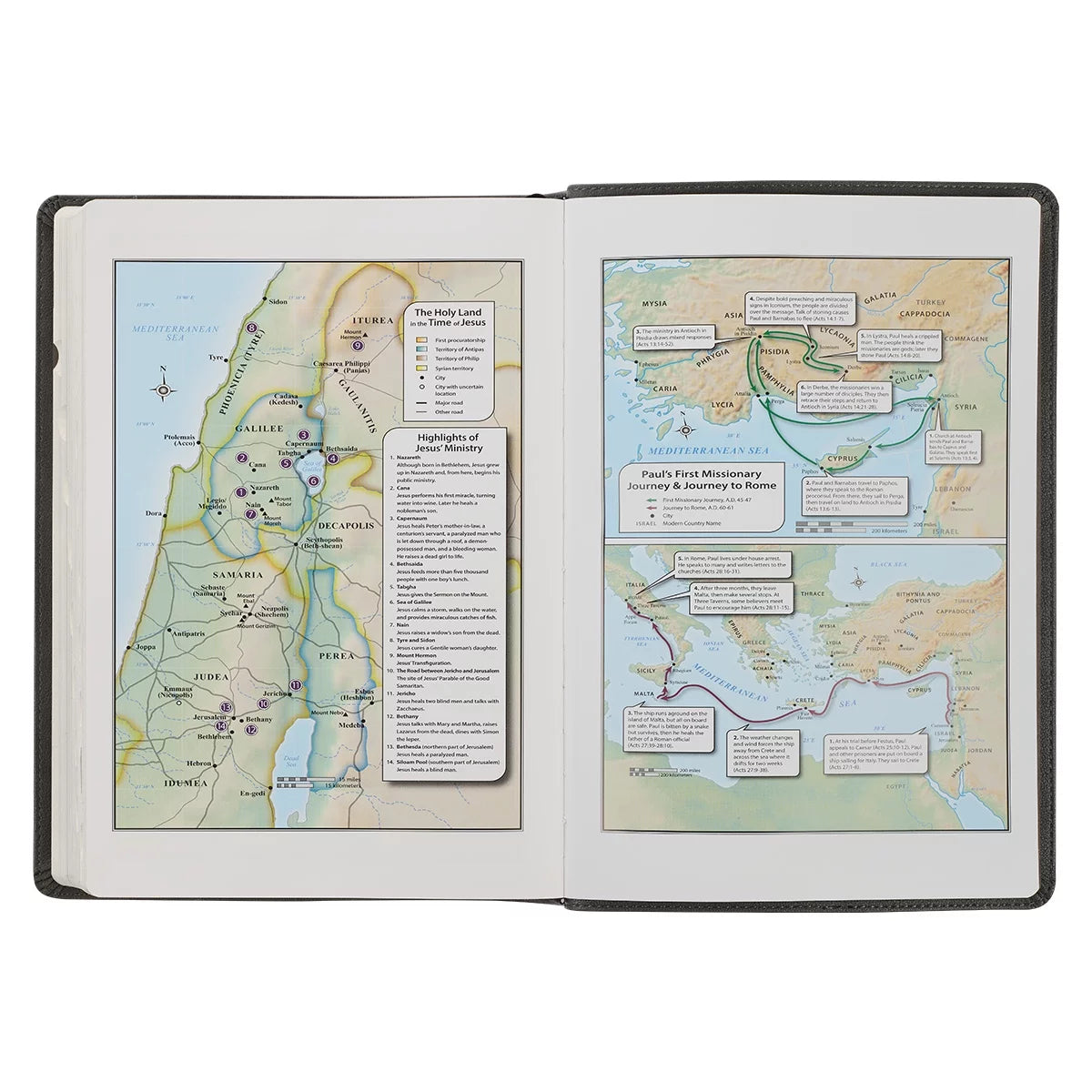 KJV Holy Bible, Super Giant Print Faux Leather Red Letter Edition - Thumb Index & Ribbon Marker, King James Version, Gray/Black