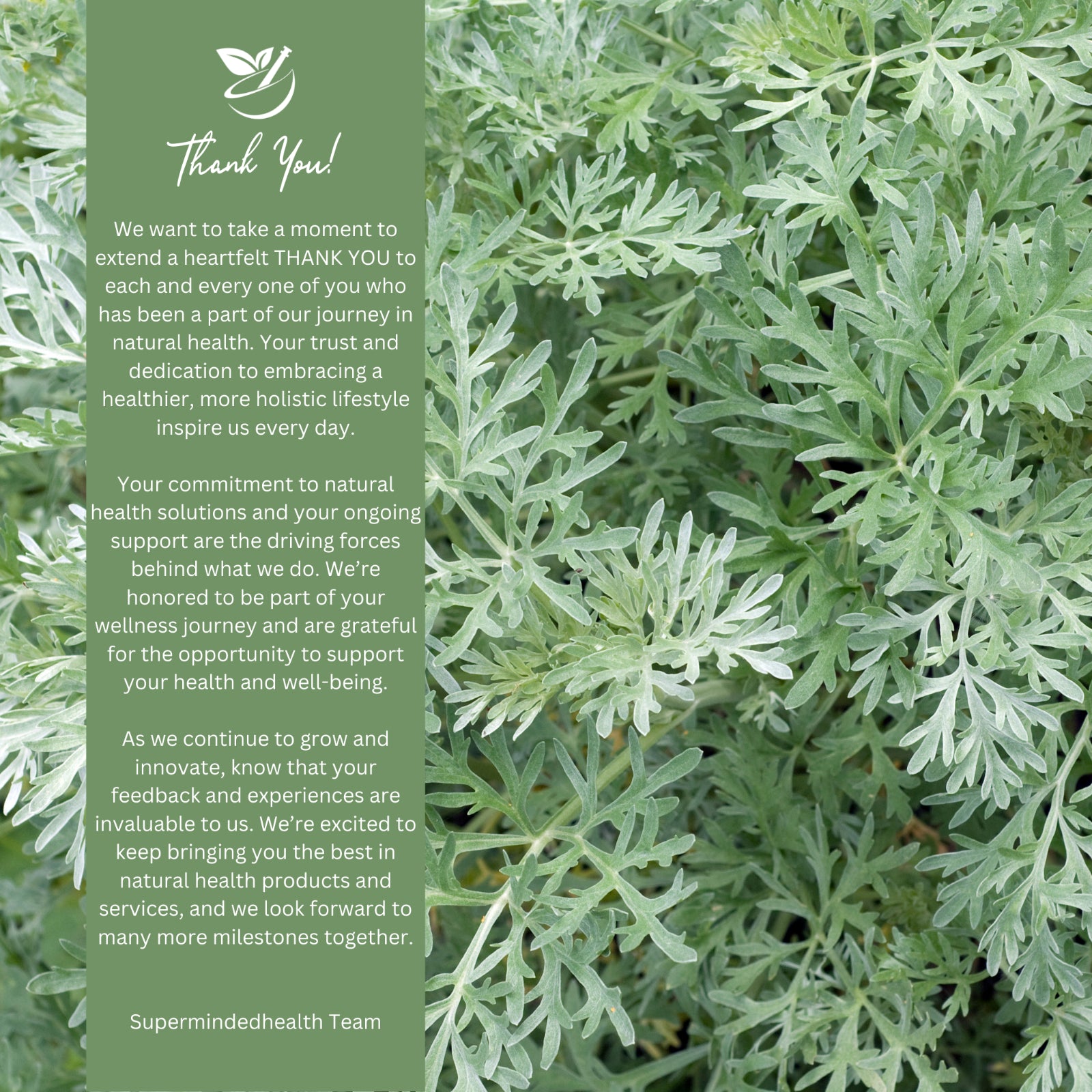 Tum Tum Tea (32 Servings) Loose Herbal Tea Soothing Warmth