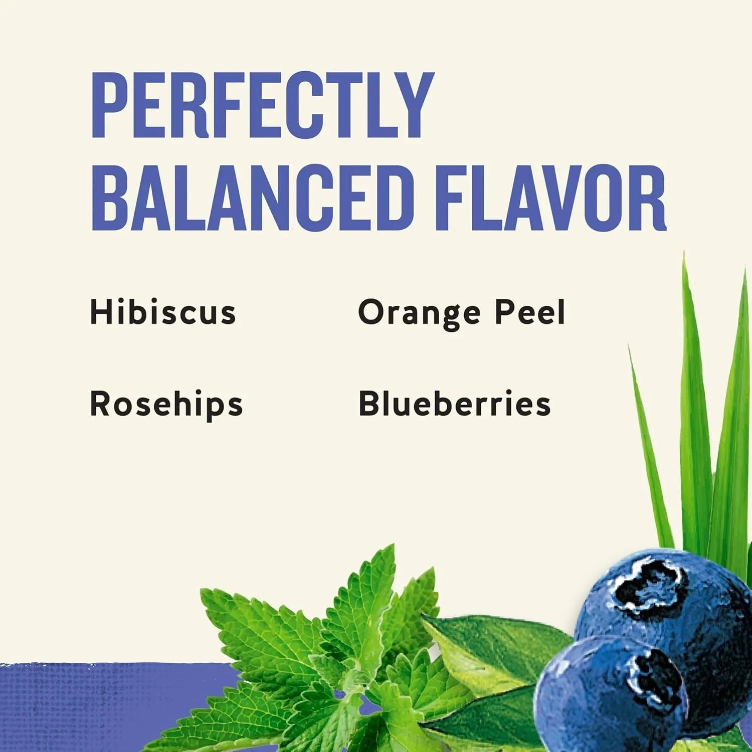 True Blueberry Herbal Tea Bags, 20 Ct Pack of 6