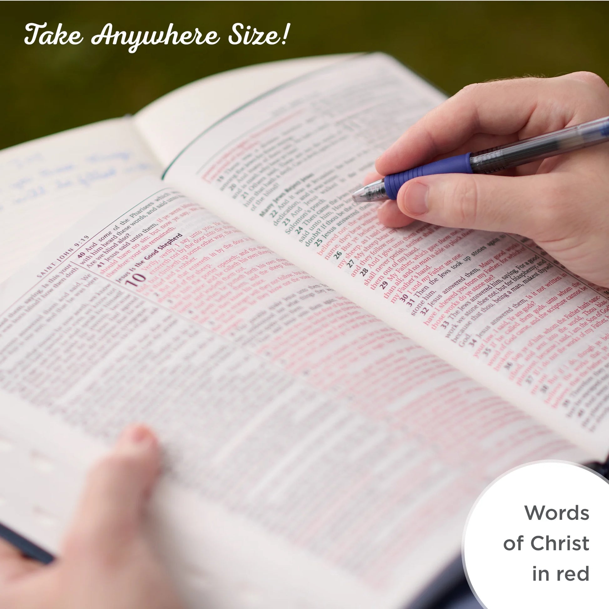 KJV Large Print Thumb Index Edition: Brown (Large Print) (Hardcover)