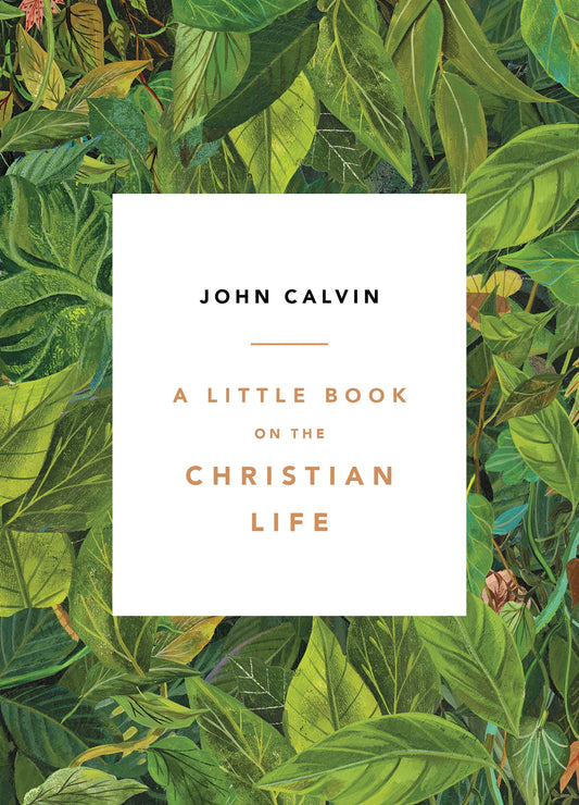 A Little Book on the Christian Life, Leaves (Paperback)