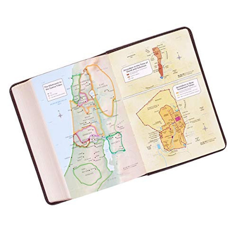 KJV Holy Bible, Large Print Compact, Dark Brown Faux Leather W/Ribbon Marker,