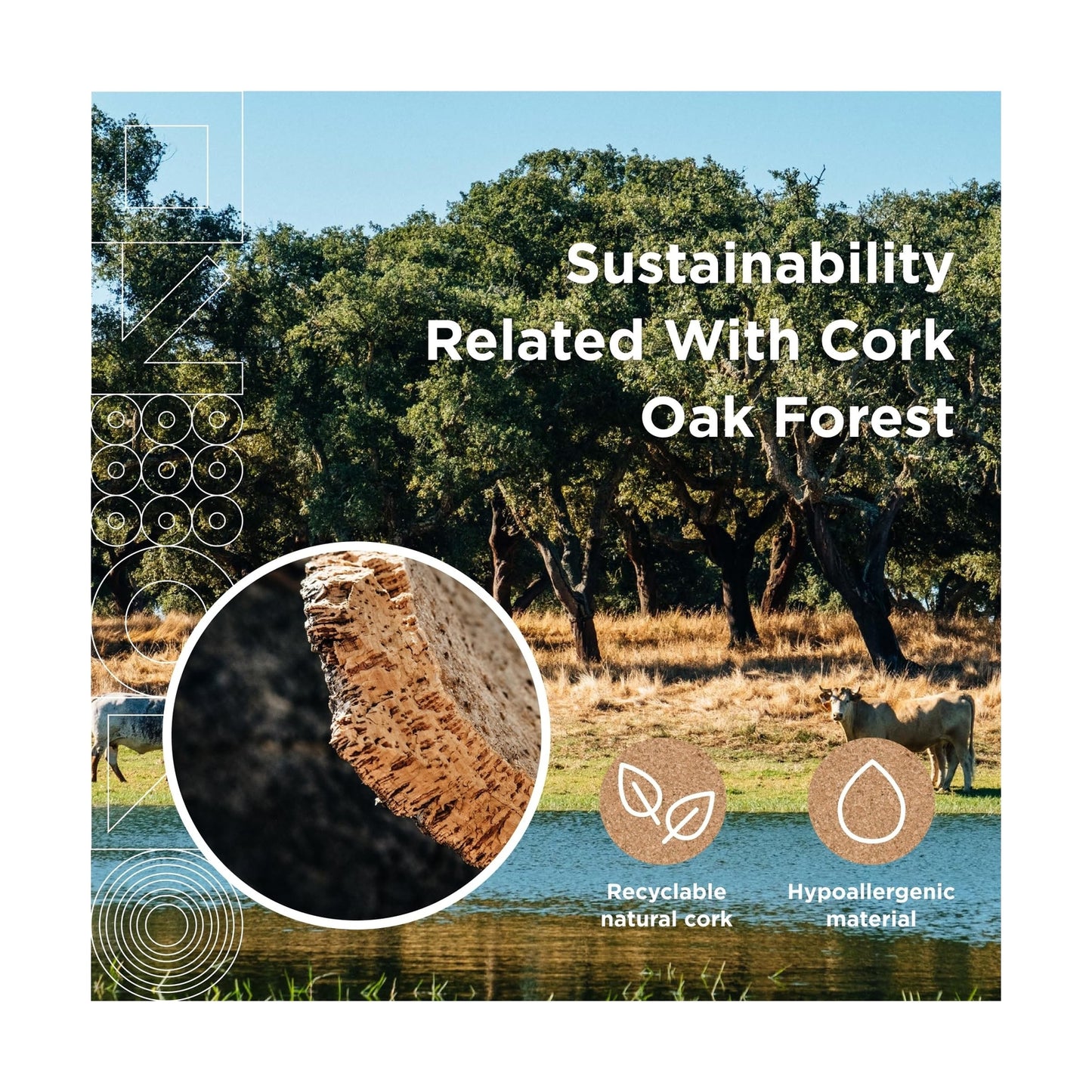 Go4Cork Large Cork Roll - 19.7" X 16.4' | Premium Double-Sided Eco Cork Roll ...