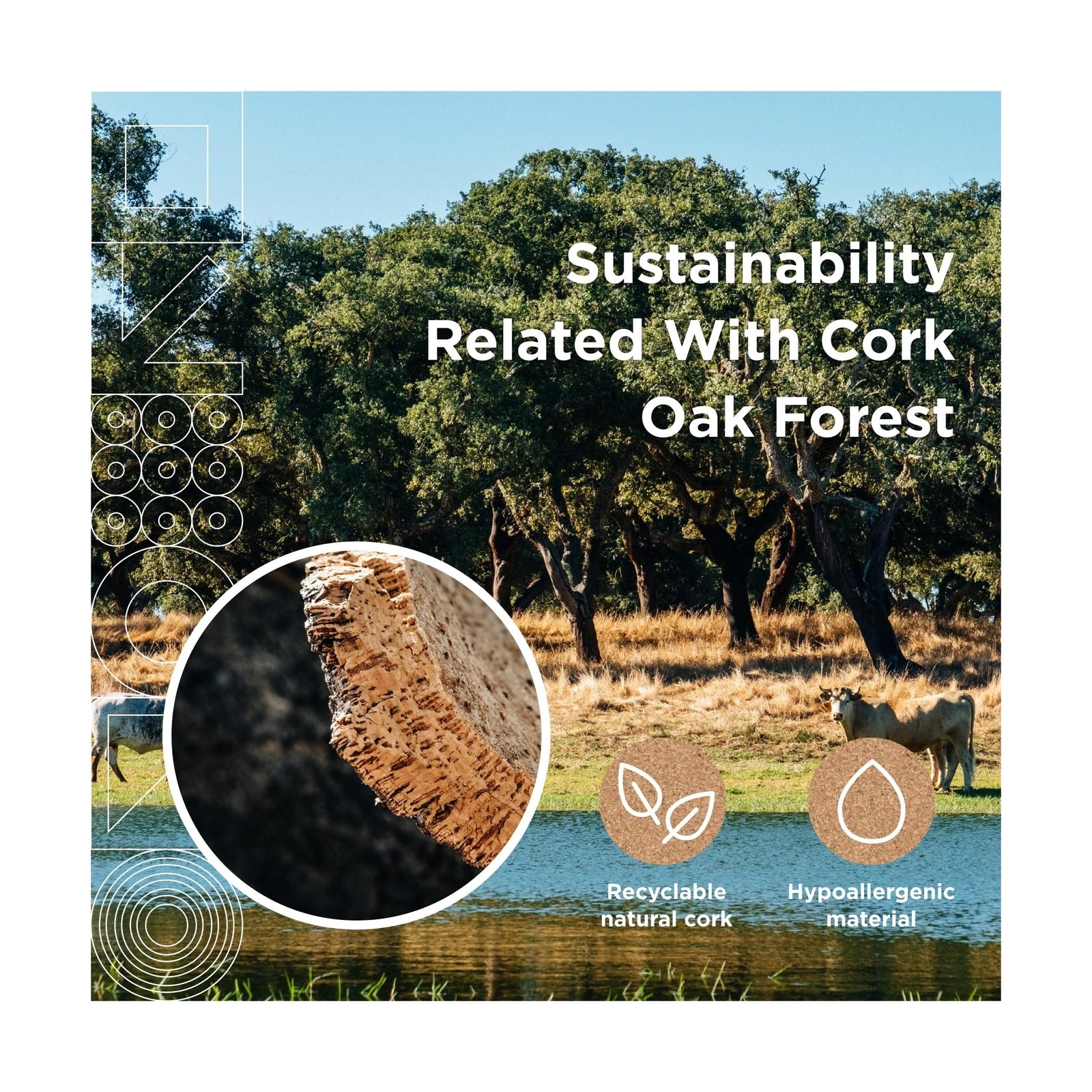 Go4Cork Large Cork Roll - 19.7" X 16.4' | Premium Double-Sided Eco Cork Roll ...