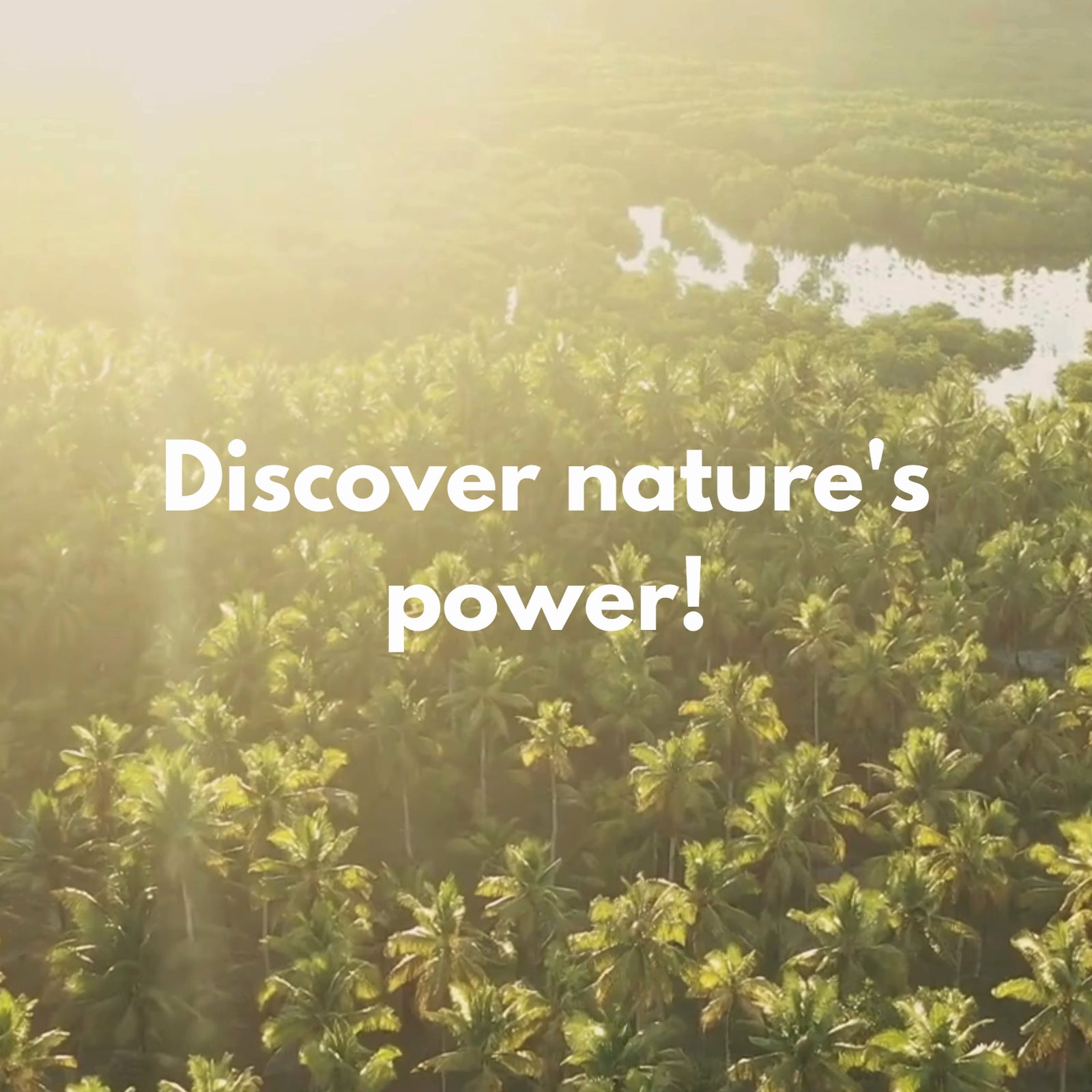 Tum Tum Tea (32 Servings) Loose Herbal Tea Soothing Warmth