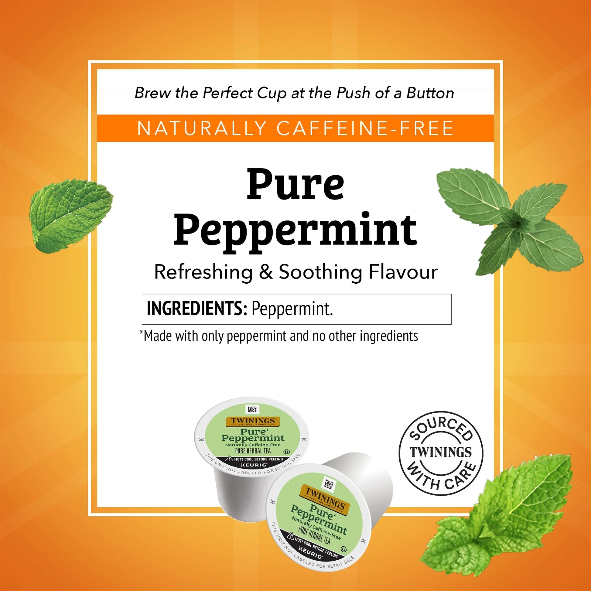 Pure Peppermint Herbal Tea K-Cup Pods for Keurig, 12 Count, Caffeine-Free