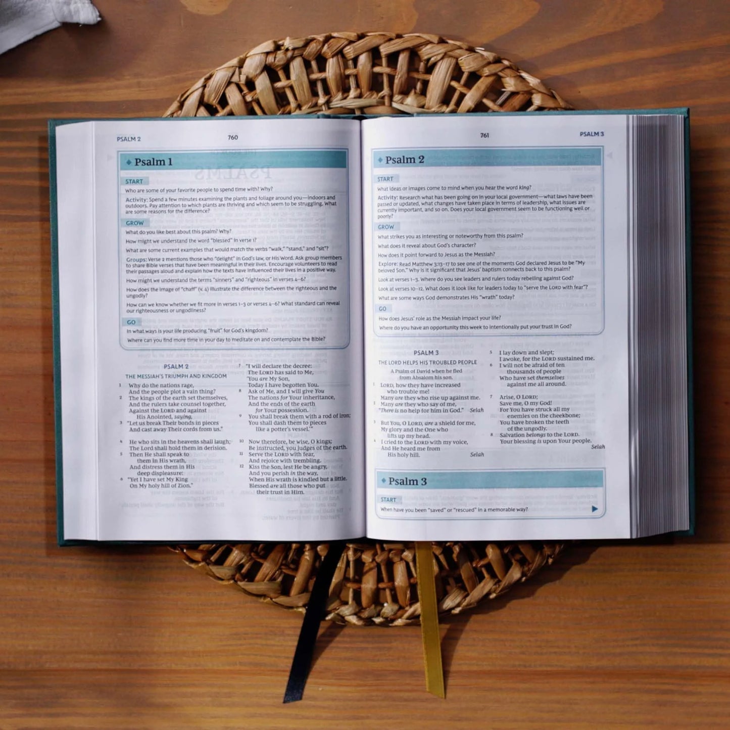 Nkjv, the Bible Study Bible, Leathersoft, Brown, Comfort Print: a Study Guide for Every Chapter of the Bible, (Hardcover)