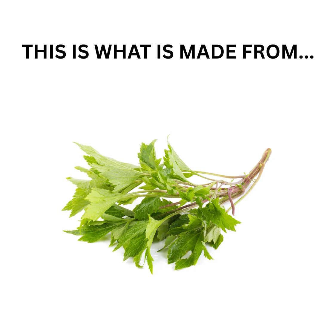 Mugwort Herbal Tea, 4Oz, Decaffeinated, Loose Leaf, Fat-Free