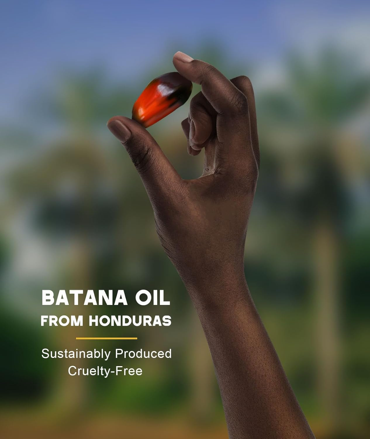 Batana Oil for Hair Growth, 100% Natural Pure Batana Oil Paste from Dr. Sebi Hon