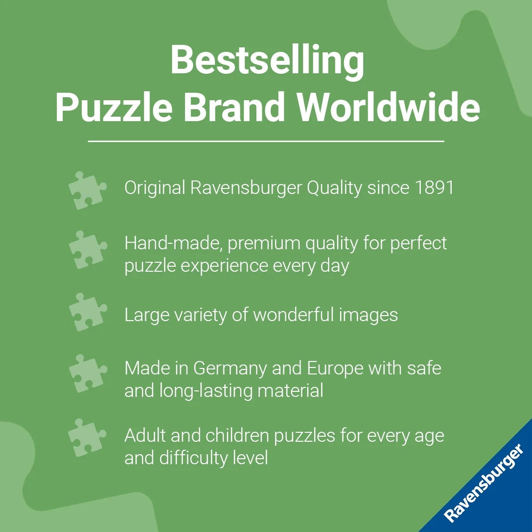 Cozy Puzzle Series - WT: New Cozy, 1000 Piece Jigsaw Puzzle