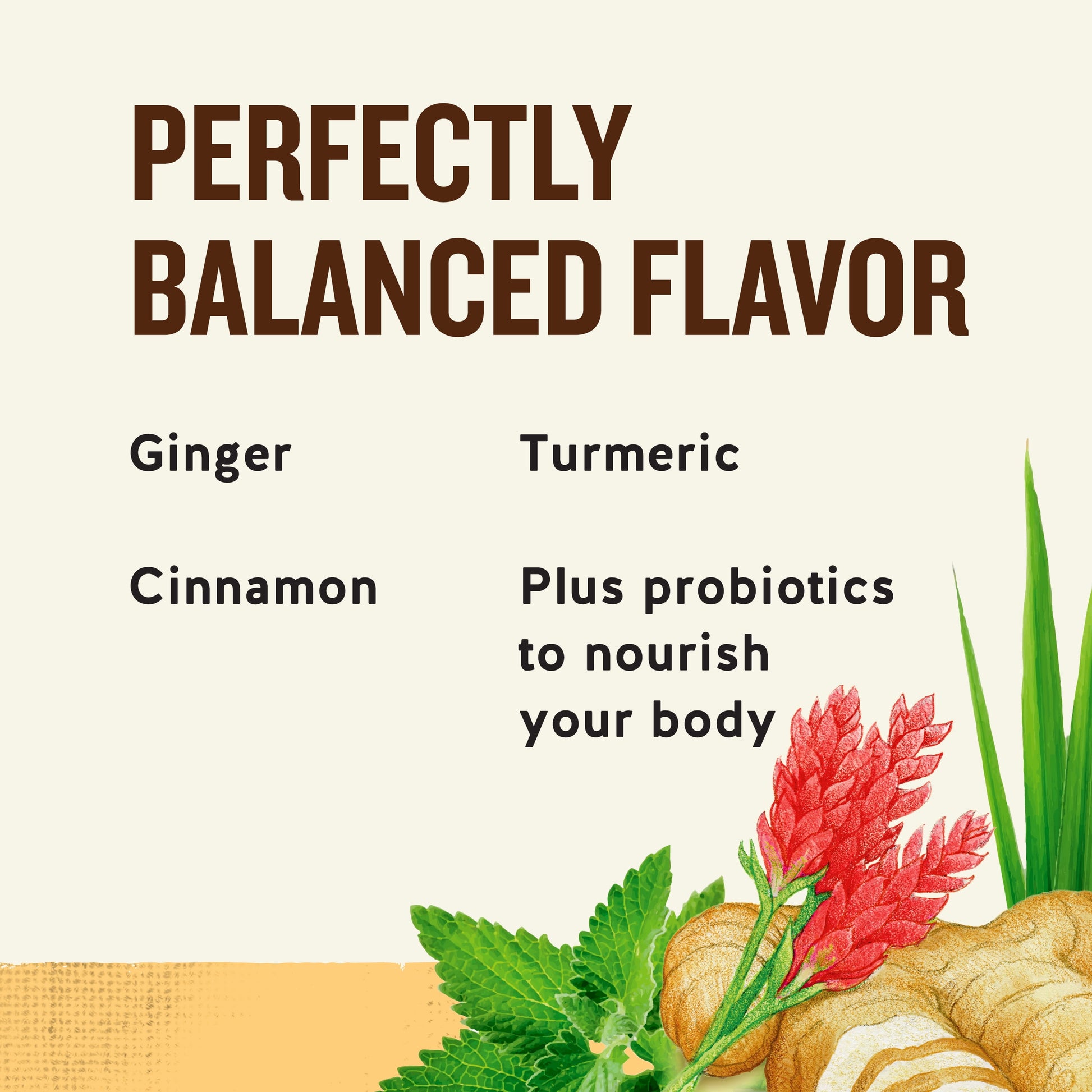 Ginger Probiotics Caffeine-Free Herbal Tea Bags (16 Count)