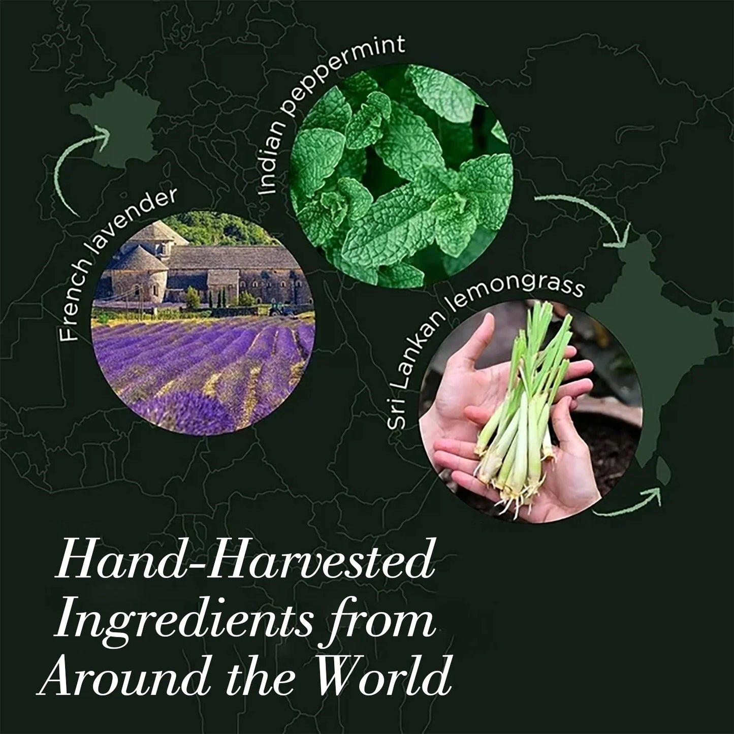 Essential Oils Set, Fragrance Oils Gift Set for Diffuser - Peppermint,Lemongrass,Tea Tree,Rosemary,Lavender,Orange Kit (6 X 10ML)