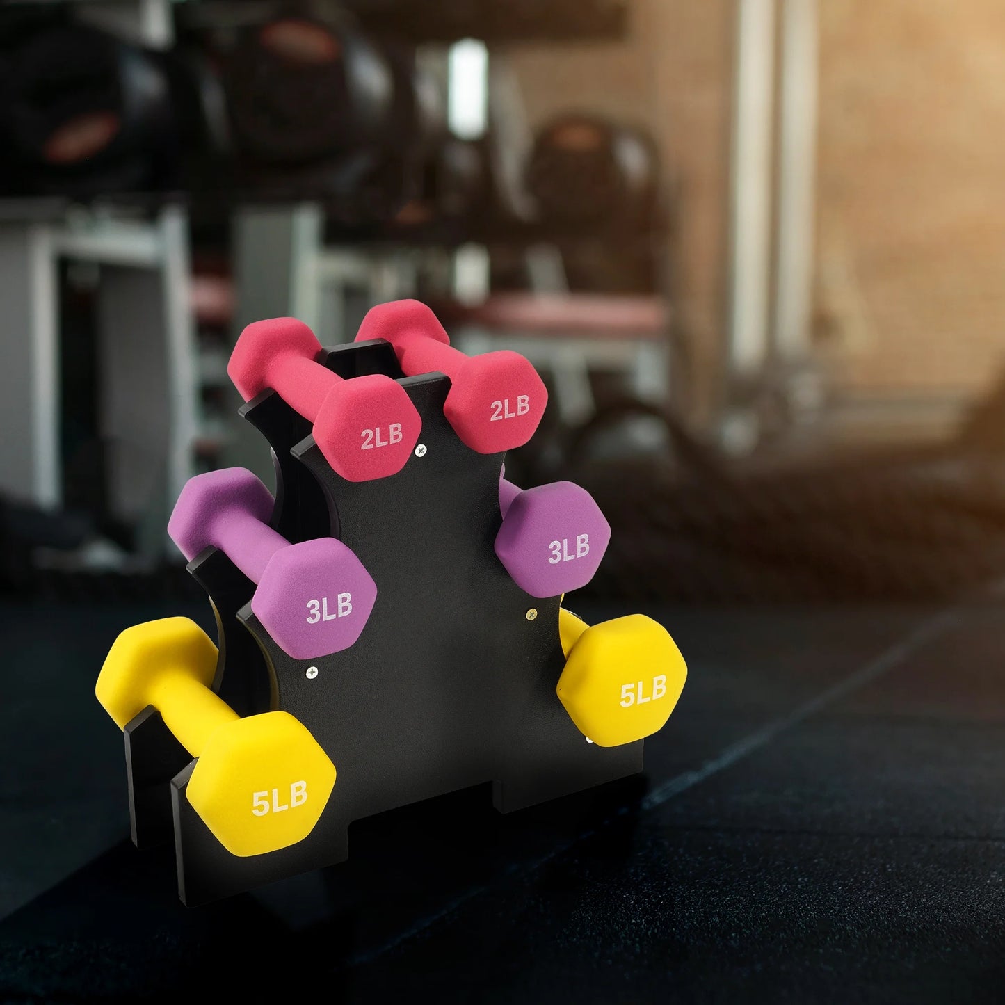 Dumbbell Set with Stand (2Lbs, 3Lbs, 5Lbs Set)